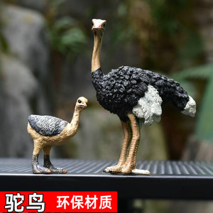 驼鸟玩具仿真驼鸟仿真野生动物模型PVC实心环保玩偶摆件儿童玩具