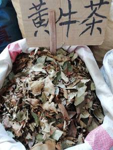 野生黄牛茶,黄牛木叶500g包邮