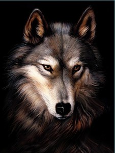 时尚简约现代装饰画pet高清3d立体画三维画工厂直销大量现货