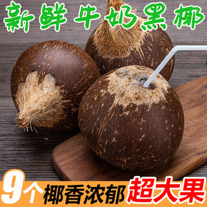 海南文昌天然老椰子牛奶黑椰皇肉厚椰王9个超大果榨汁煲汤椰子鸡