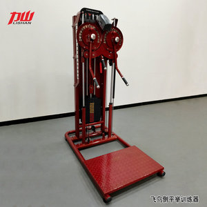 山东力山飞鸟侧平举训练器健身房健身器材商用力量肩部训练器健身