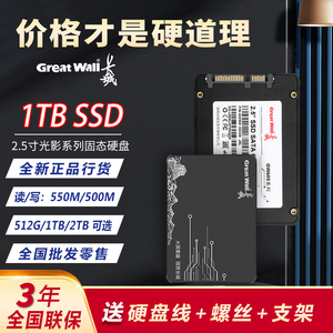 长城正品固态硬盘1TB 2TB台式机笔记高速SSD512G全新固态硬盘批发
