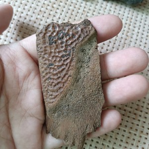 六朝鼋甲古玩文玩y040毛料玉化料牌子料