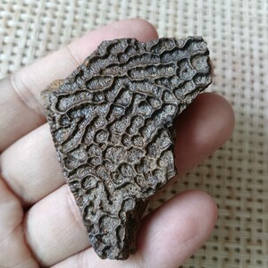 六朝鼋甲古玩文玩y047毛料玉化料牌子料