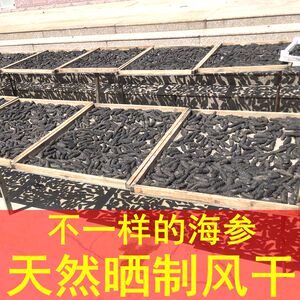 龙珍淡干海参干货50g 山东威海底播野生刺参发泡即食海生可装礼盒