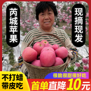 山西苹果水果9.5斤新鲜运城红富土 整箱应季脆甜冰糖心丑苹果