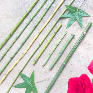 新鲜细竹子小竹条现做庭院园林阳台花艺竹棍细竹杆绿色天然小竹竿