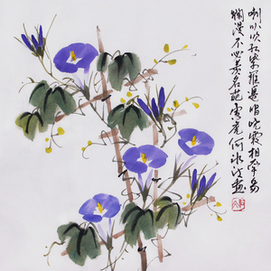 原创手绘国画小品牵牛花鸟图案简约斗方挂画手写字画无框装饰画芯