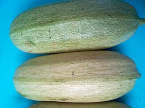 陕西新鲜蔬菜 西葫芦2500g 节瓜 农家自种 纯天然绿色无公害 包邮