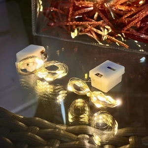 LED灯串铜线暖白灯电池彩色灯礼品袋装饰灯串插件生日鲜花闪灯