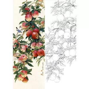 工笔画白描底稿苹果竖幅王庆生实物打印稿50*140含彩图691t