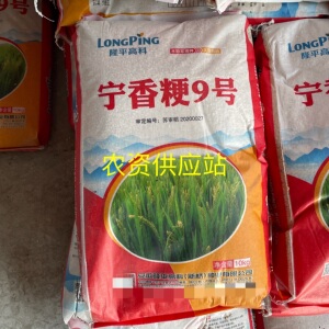 宁香粳9号早熟晚粳稻抗倒伏水稻种子软米晶莹剔透口感好大米种籽