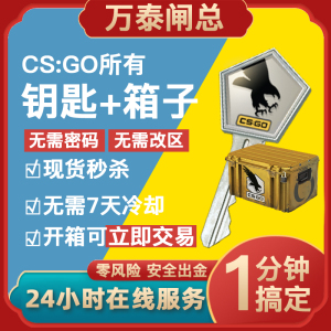 现货/CS2/CSGO钥匙/胶囊开箱子命悬变革反冲梦魇蛇噬手套武器箱