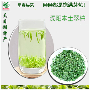 溧阳翠柏 2021年新茶明前头采绿茶芽苞早春雀舌青峰翠竹同类茶叶