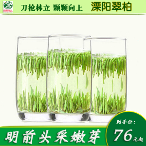 溧阳翠柏  2024年新茶寿眉雀舌翠芽青峰翠竹溧阳宜兴茅山同品种茶