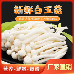 海鲜白玉菇蟹味菇新鲜蘑菇蔬菜炒菜火锅炖汤食材现采食用菌4斤装