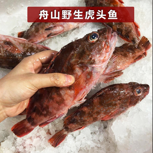 冷冻野生虎头鱼,小石斑  石九公 1斤3-4条 冷冻发货 多退少补
