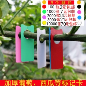 植物标签葡萄记号牌葡萄标记卡瓜果标记牌西瓜标记牌月季环扣标签