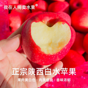 脆甜陕西瑞香红红苹果自带玫瑰花香新品种原产地白水国产苹果