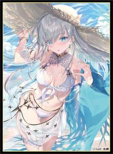 aicm3 会场限定 光崎 fate  fgo  安娜斯塔西娅 皇女  泳装 卡套