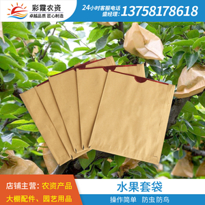 水果套袋专用袋防虫保护袋芒果梨桃子枇杷果树防鸟果袋套水果纸袋