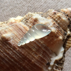 翡翠高冰迷你海螺小螺号玉石动物可爱卡通珠宝镶嵌手链玉小坠