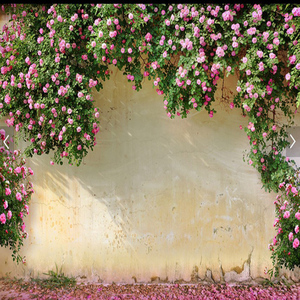 3d复古怀旧粉红玫瑰背景墙布蔷薇地中海风格影楼壁画咖啡餐饮壁布