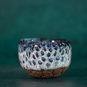 沐焰杯王忠伟茶