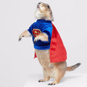 土拨鼠宠物衣服