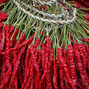 贵州毕节特产干辣椒