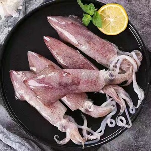 东山岛 海鲜 带籽海兔子小管 笔管鱿鱼 新鲜健康 冷冻400g装 水产