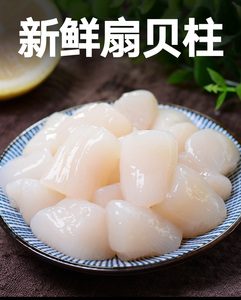 瑶柱现剥新鲜大号扇贝柱鲜贝柱扇贝肉不冷冻丁立柱莱州海鲜水产