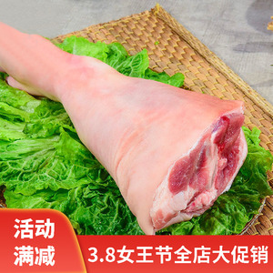 新鲜猪前腿整只3.5斤左右带筋猪脚带猪肘子猪蹄髈生鲜冷冻腊猪腿
