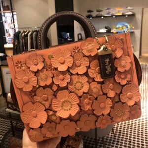 coach蔻驰山茶花蛇皮粉色rogue肉鸽斜跨包