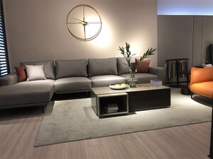 那里国际siloni 思洛尼布艺沙发现代简约客厅科技布沙发