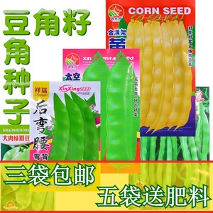 豆角籽东北大小油豆角种子黄金钩后弯腰一点红绿眉豆地豆架豆种子