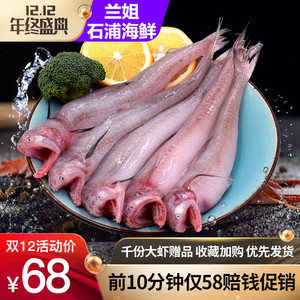 鲜活九肚鱼 3斤新鲜豆腐鱼海鲜龙头鱼宝辅食海鱼水潺当天现捕野生