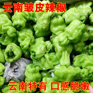 云南特有新鲜皱皮辣椒250g 皮薄脆 炒野生菌牛肝菌搭配上几个美味