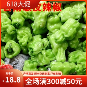 云南特有新鲜皱皮辣椒250g 皮薄脆 炒野生菌牛肝菌搭配上几个美味