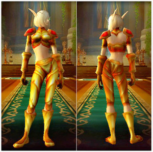 00初硕网游专营店天猫魔兽世界代练板甲布甲锁甲皮甲幻化套装萨