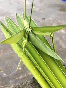 棕草编昆虫动物蚱蜢蚂蚱非遗小学生幼儿园手工作业树叶编织草蜢