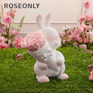 roseonly甜心兔十周年特别款永生花玫瑰情人节礼物送女友七夕告白