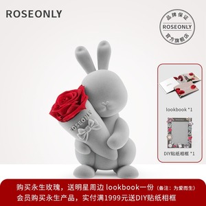 roseonly永生玫瑰花甜心兔公仔礼盒结婚生日情人节七夕送爱人礼物