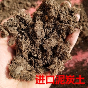 进口泥炭土 草炭土 粗细规格 颗粒土 多肉绿植通用土 花土 营养土