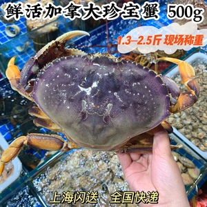 鲜活珍宝蟹野生进口海鲜水产长脚蟹帝王蟹面包蟹膏蟹1斤单价称重