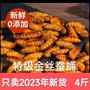 新鲜金丝蚕蛹5斤不加盐鲜活冷冻农家桑蚕蛹山东特产黄金蛹_阿里巴巴找