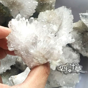 天然白水晶簇原石摆件天然白晶牙小白晶菊花石块 每1公斤