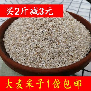 盐城阜宁特产大麦彩子杂粮苏北农家手工石磨大麦粗粮采子500g一斤