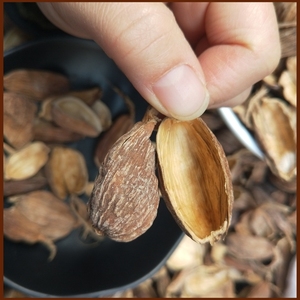 草果皮云南草果去籽炖肉火锅麻辣烫通用卤料香料调料大全包邮不苦