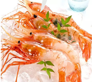 钓胃口 刺身级富山虾500克白牡丹虾甜虾新鲜日料每盒约20只